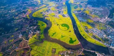 萬眾期待，重慶潼南萬畝油菜花海景區(qū)開放，畢加帶你去看花節(jié)！