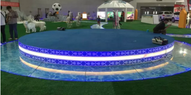 不去內(nèi)蒙古就能感受風吹草低見牛羊，還不快來跟畢加展覽去探班