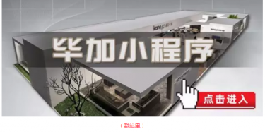 畢加邂逅小“情人”，那就再愛一次吧