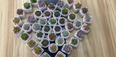 今天，你們是我的女神