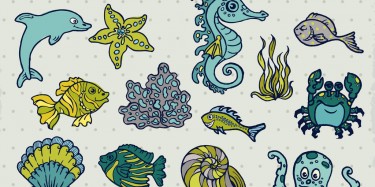 2016國(guó)際海洋科技展覽會(huì)將辦，展覽特裝公司期待指數(shù)爆棚！