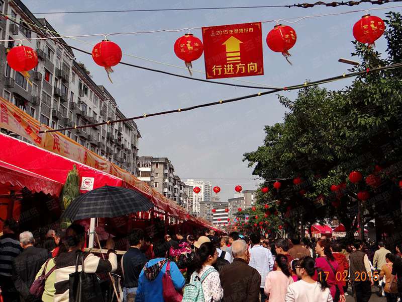 廣州荔灣迎春花市裝飾 廣州荔灣迎春花市裝飾