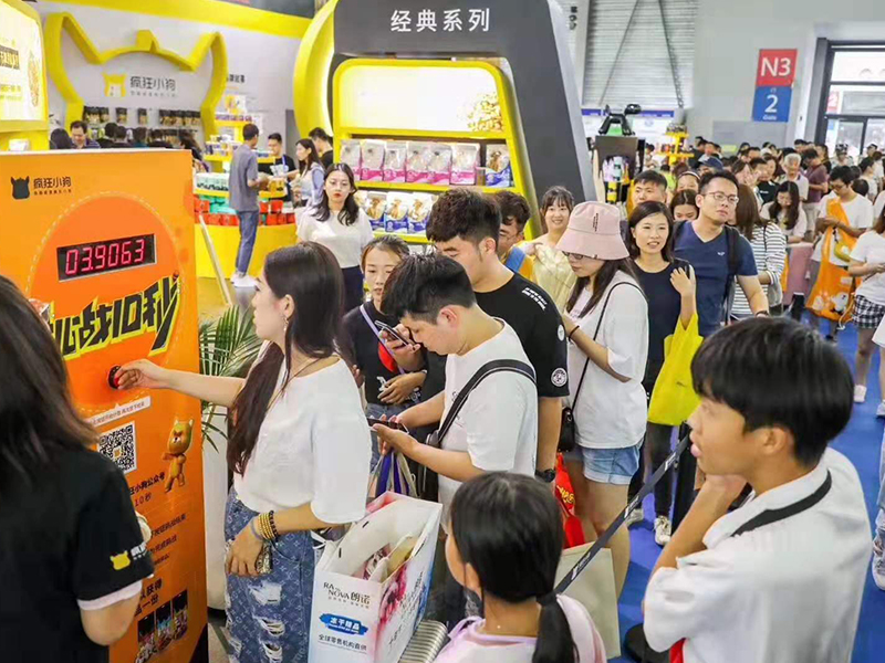 瘋狂小狗——寵物展設(shè)計搭建