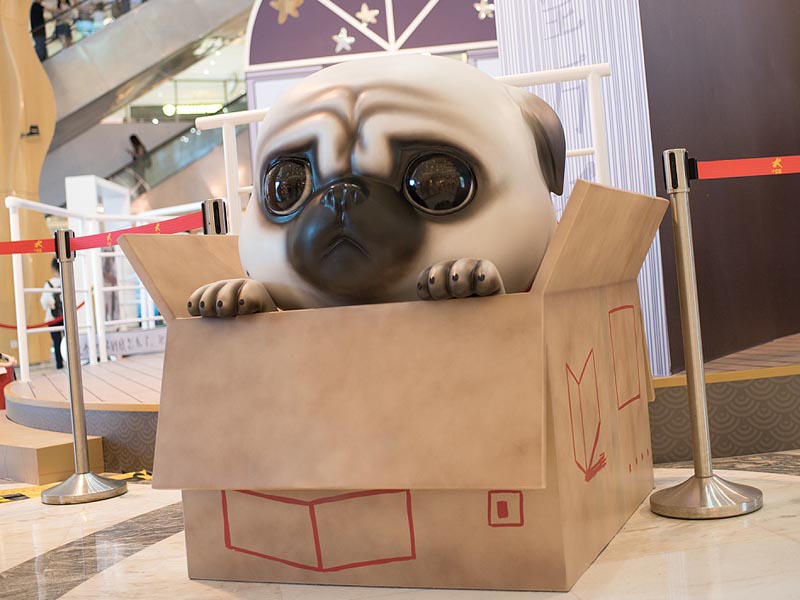 吾皇萬(wàn)睡—快閃店搭建 吾皇萬(wàn)睡—快閃店搭建